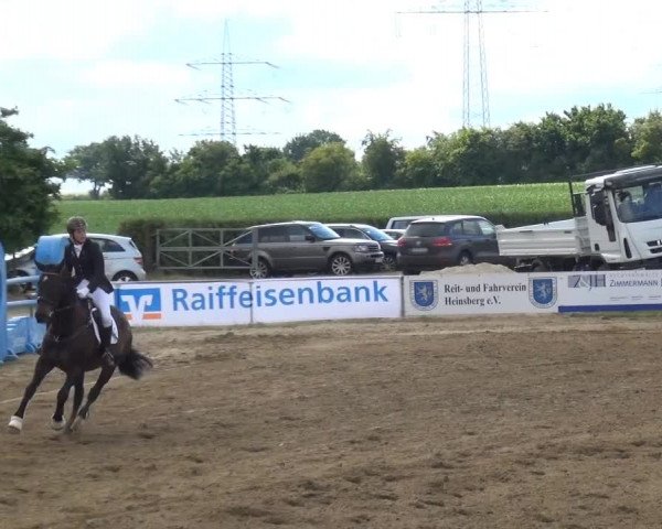 Sommerturnier RFV Heinsberg 2015