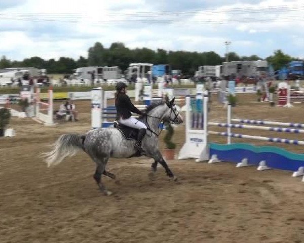 Sommerturnier RFV Heinsberg 2015