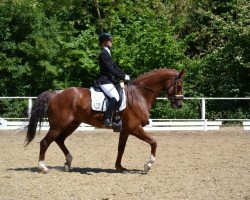 dressage horse Finnley S (Westphalian, 2010, from Fleury)