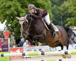 broodmare Clintina (Oldenburg, 2005, from Clintino)