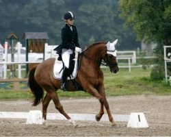 dressage horse Delion 3 (Württemberger, 2002, from Day Dream)