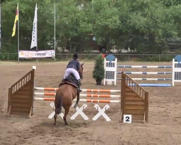 Reitturnier Wiesloch 2015