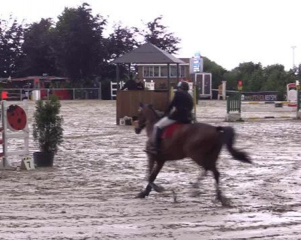 Sommerturnier Fröndenberg 2015