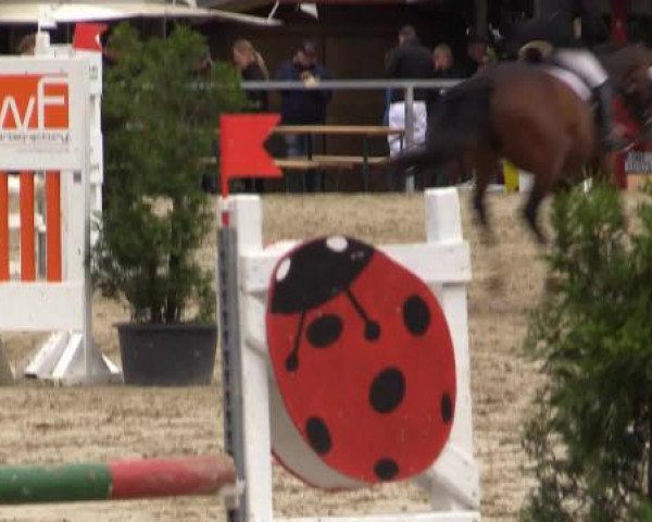 Sommerturnier Fröndenberg 2015