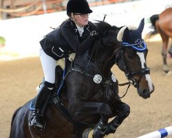 Springpferd Guitane van de Herkkant (Belgisches Warmblut, 2006, von Oklund)