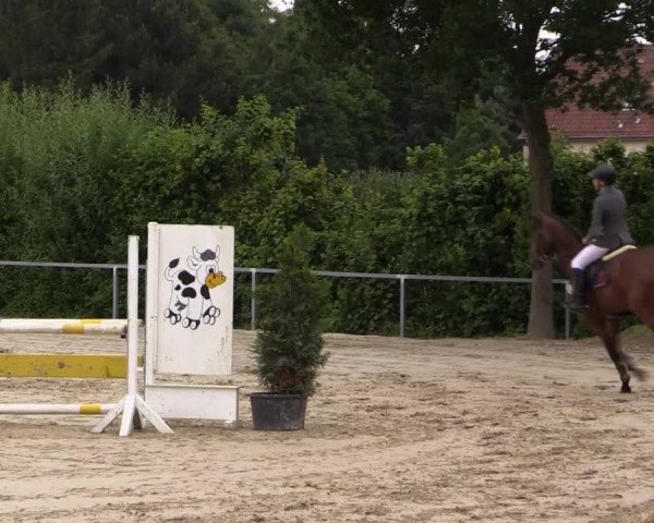 Sommerturnier Fröndenberg 2015