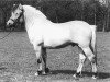 Deckhengst Kalypso H-K99 (Fjordpferd, 1990, von Brusvein)