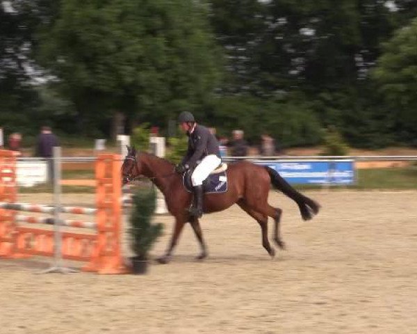 Coesfelder Reitertage 2015