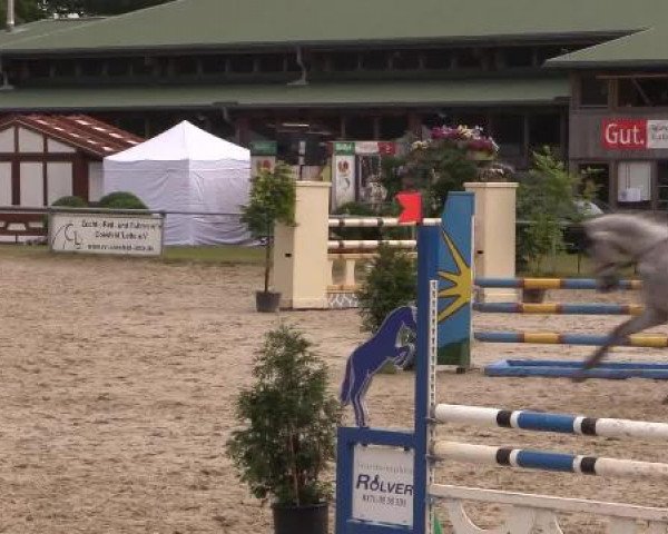 Coesfelder Reitertage 2015