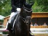 dressage horse Dea Delizia (Westphalian, 2013, from Desiderius L)