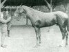 stallion Kalmouk (FR) (French Trotter, 1910, from Bemecourt (FR))