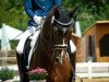 dressage horse Sarastro 71 (Bavarian, 2002, from Sunny-Boy)