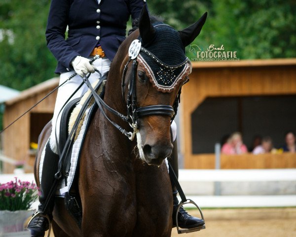 dressage horse Finja Mara (Westphalian, 2010, from Flanagan)