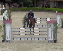 Springpferd Hard 2 Get B (Schwedisches Warmblut, 2014, von Diarado)