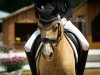 dressage horse Weiglschwaigs Jade (German Riding Pony, 2011, from FS Champion de Luxe)