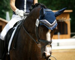 broodmare Dornröschen H (Hanoverian, 2012, from Dancier)