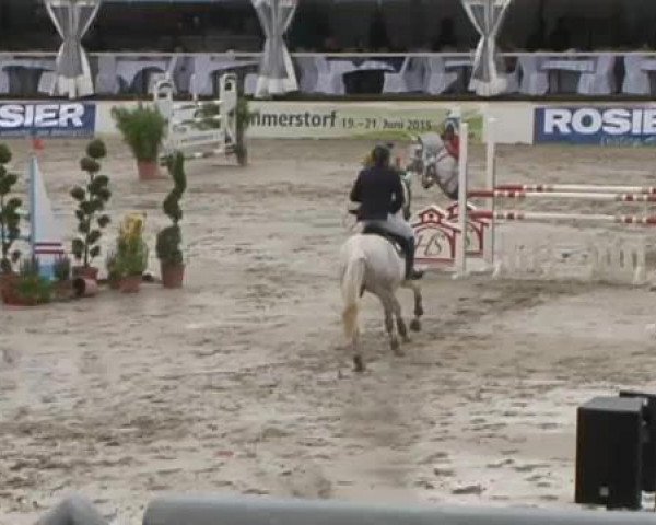 FEI Reitturnier Sommerstorf (GER) 2015