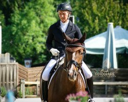 dressage horse Lovely Donna 4 (Westphalian, 2012, from Laudabilis)