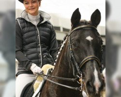 dressage horse Heaven's Door 2 (German Sport Horse, 2001, from Ratero)