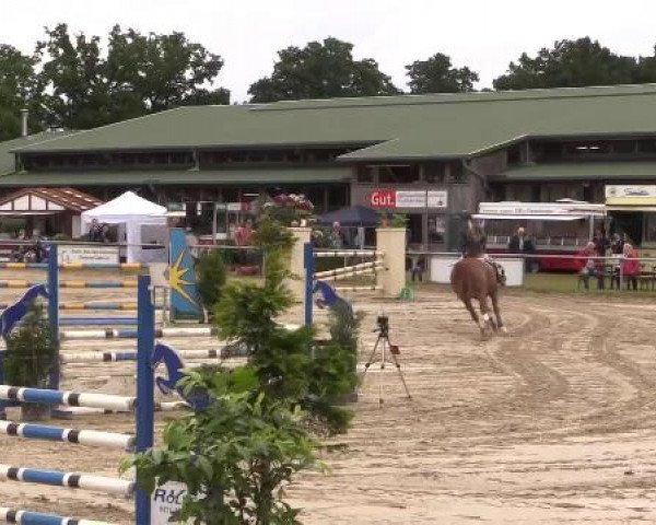 Coesfelder Reitertage 2015