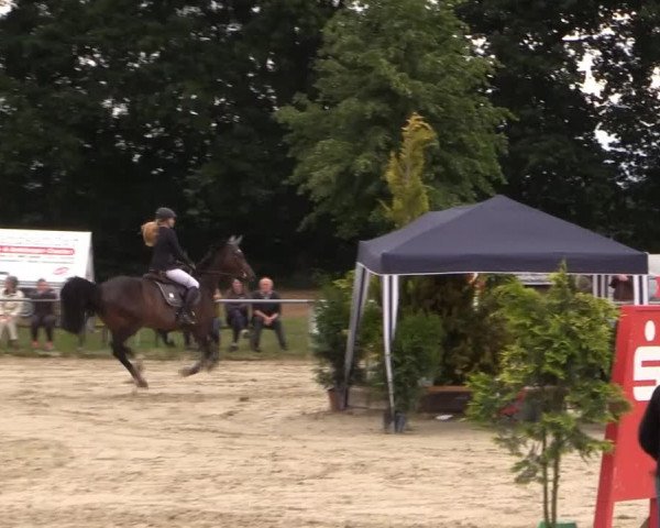 Coesfelder Reitertage 2015