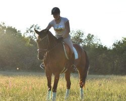 broodmare Fleury d'Amour (Hanoverian, 2008, from French Kiss)