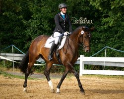 dressage horse Lamour De La Nee (Oldenburg, 2008, from Larome)