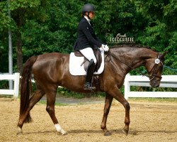 dressage horse Damon's Darcy Rose (Westphalian, 2014, from Damon Hill)