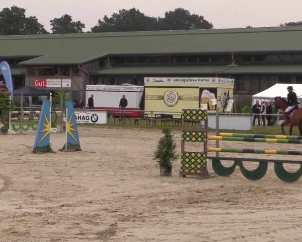 Coesfelder Reitertage 2015