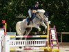 jumper TH Cannavaro (Oldenburg show jumper, 2008, from Camposanto)