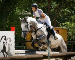 jumper Lancelot 394 (Hanoverian, 2010, from Linton)