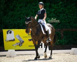 dressage horse Navar (German Riding Pony, 1997, from Nibelungenheld II)