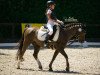 dressage horse Hofstee's Fresco (Welsh-Pony (Section B), 1999, from Casperhof's Freddy)