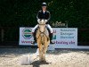 dressage horse Anjershof Casanova (Nederlands Welsh Ridepony, 2008, from Anjershof Memorie)