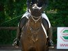 dressage horse Viktoria WS (Hanoverian, 2013, from Viscount 22)