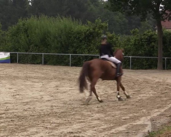 Sommerturnier Fröndenberg 2015