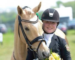 dressage horse Art's Doleiro (German Riding Pony, 2008, from Arts-Dancer-Boy)