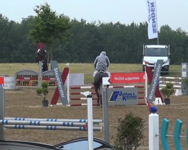 Sommerturnier RFV Heinsberg 2015