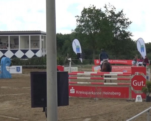 Sommerturnier RFV Heinsberg 2015
