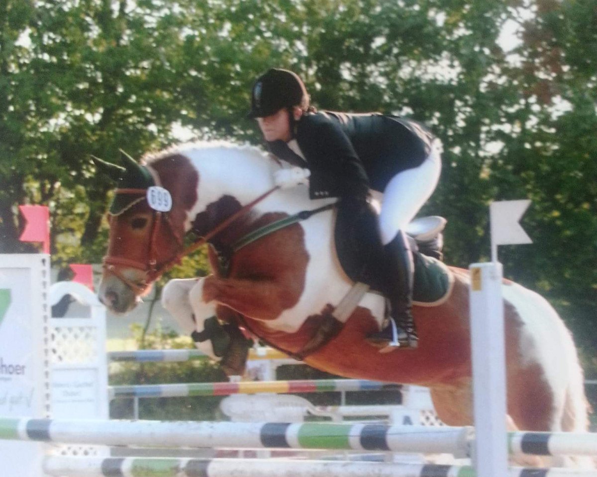 Dressurpferd Moonlight 274 (Tinker-Mix / Pinto Tinker / Crossbreed, 2000)