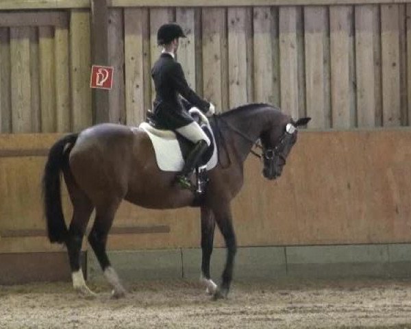 Sommerturnier Fröndenberg 2015