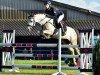 jumper Trevor H (German Riding Pony, 2011, from Timesquare)