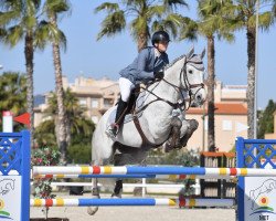 jumper Fan of Mr Blue (KWPN (Royal Dutch Sporthorse), 2010, from Zirocco Blue)