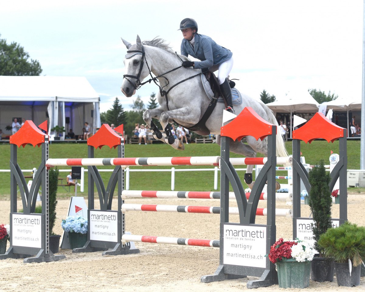 jumper Silver Girl 14 (German Sport Horse, 2008, from Pumped Up Kicks)