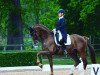 dressage horse Royalist (Oldenburg, 2005, from Royal Hit)