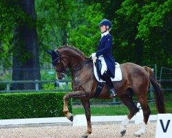 dressage horse Royalist (Oldenburg, 2005, from Royal Hit)