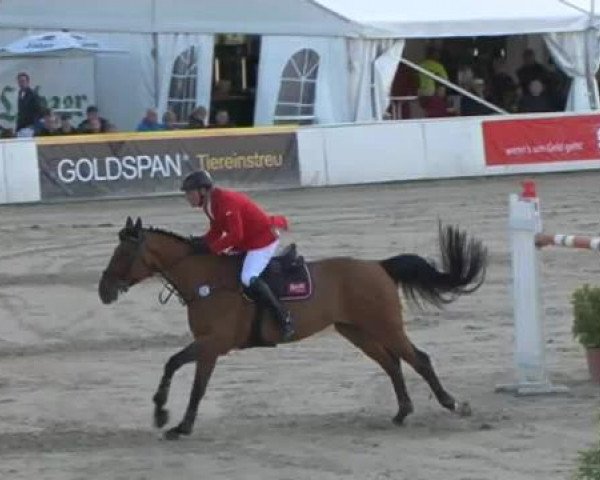 FEI Reitturnier Sommerstorf (GER) 2015