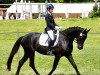 dressage horse Mawenzi R (German Sport Horse, 2015, from E.H. Millennium)