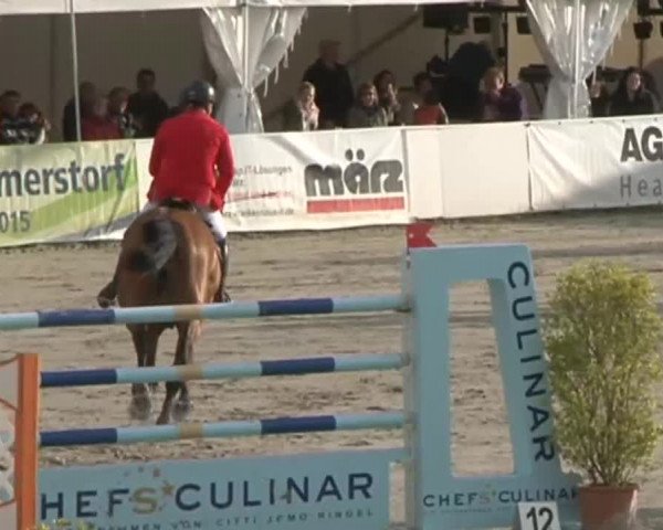 FEI Reitturnier Sommerstorf (GER) 2015