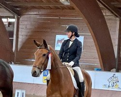 dressage horse Masterpeace GS (Oldenburger, 2017, from E.H. Millennium)